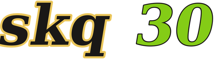skq 30 logo